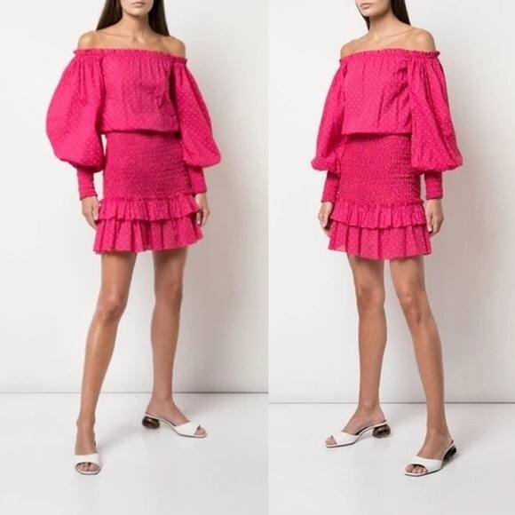 NWT Alexis Marilena Smocked Printed Mini Dress in Fuchsia Large - Picture 1 of 7